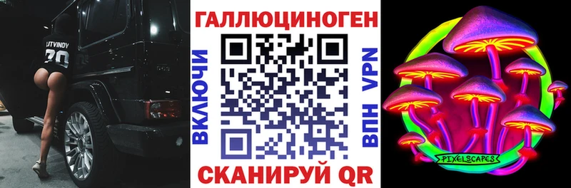 omg маркетплейс  Гаврилов-Ям  Галлюциногенные грибы Psilocybe 